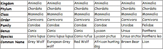 Kids Den - Classification | UK Wolf Conservation Trust