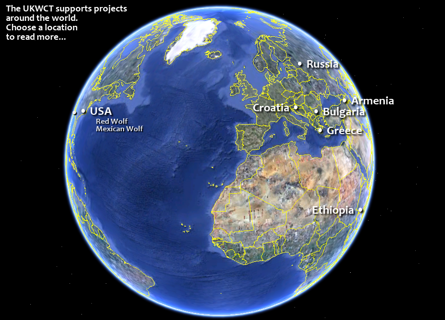 The Earth