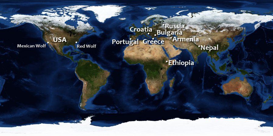 The Earth