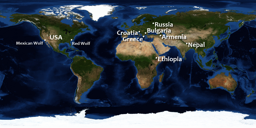 The Earth
