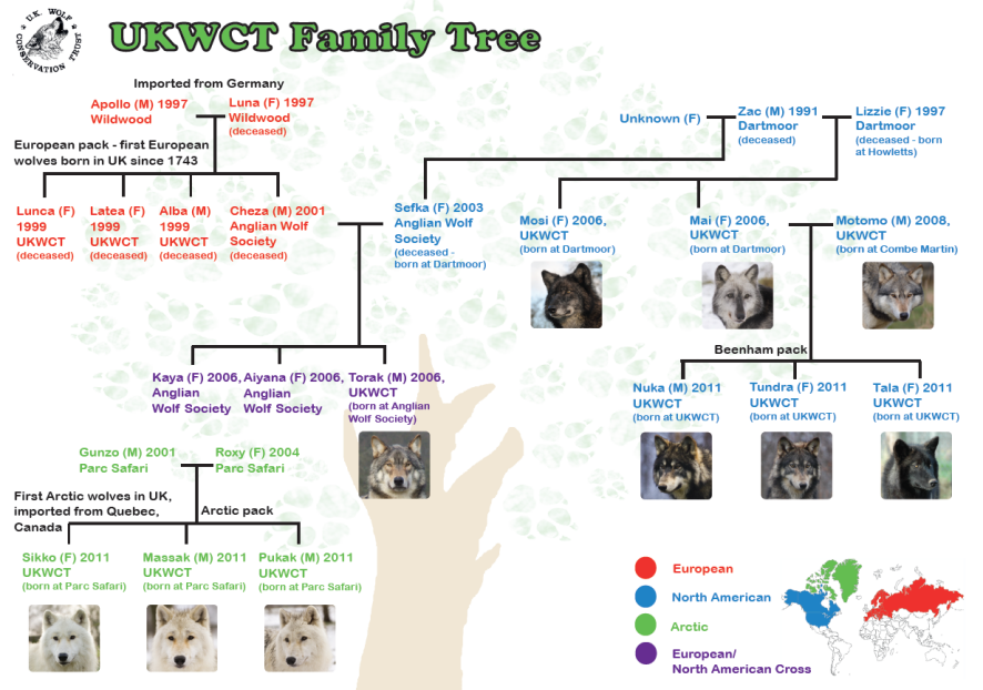 Wolves of the Trust