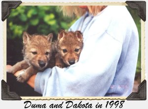 Duma and Dakota
