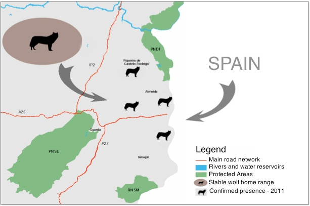 Iberian Wolf Distribution